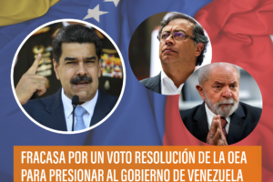 Fracasa Por Un Voto Resolución De La OEA Para Presionar Al Gobierno De Venezuela A Publicar Las Actas De Votación